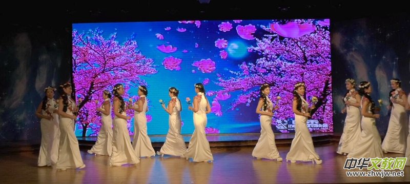 2019�׌����(hu��)؟(z��)�δ���(ji��)���(hu��)������~�_(t��i)�e�k