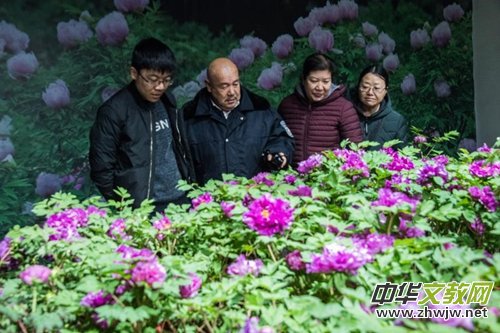 ɽ��ʡĵ���@���׌�ӭ�´�ĵ���r��չ�������չ�