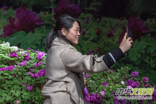 ɽ��ʡĵ���@���׌�ӭ�´�ĵ���r��չ�������չ�