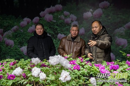 ɽ��ʡĵ���@���׌�ӭ�´�ĵ���r��չ�������չ�