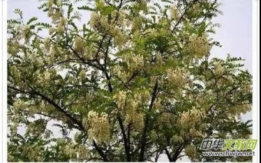 �S�ӿڡ��u����