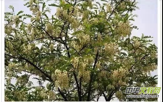 �S�ӿڡ��u����