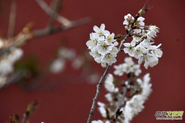 Ԋ�脓(chu��ng)����Ҫ���Կ���