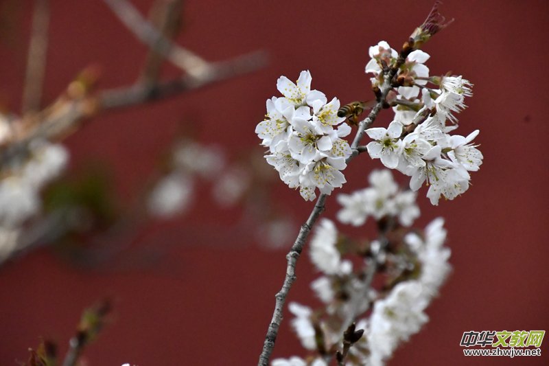 Ԋ�脓(chu��ng)����Ҫ���Կ���