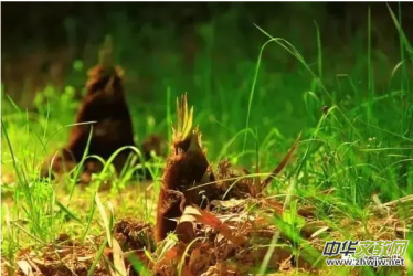 ���S����?x��)r