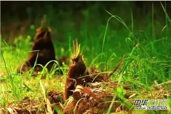 ���S����?x��)r