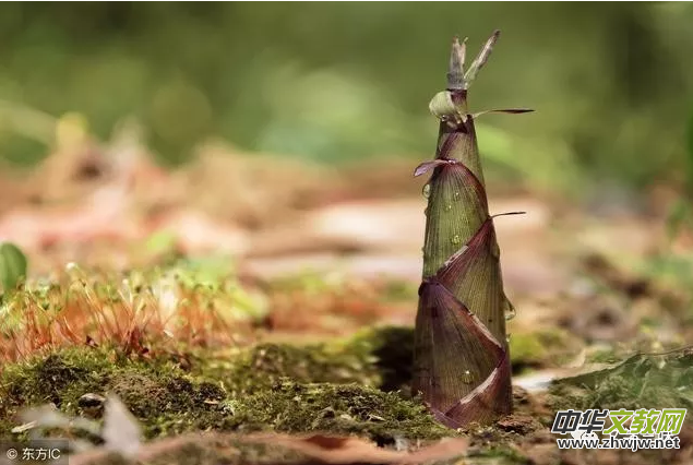 ���S����?x��)r