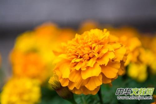 ��ˮ�{(l��n)��Ϧ��£��MԊ��