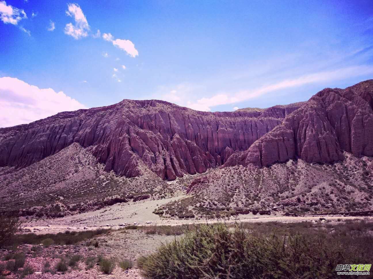 Ц���zӰ:�½������Fľ����{����Ӱ