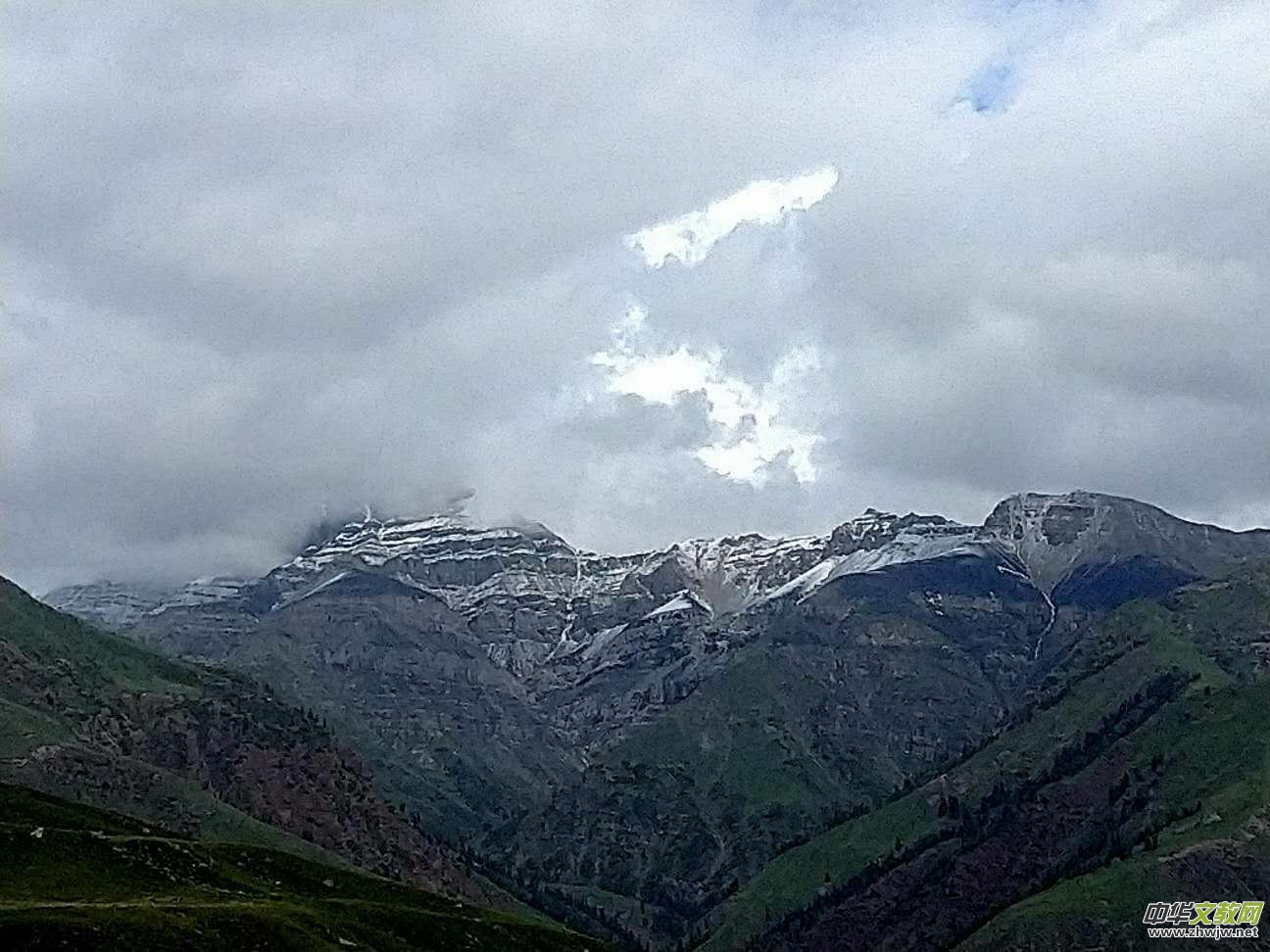 Ц���zӰ:�½������Fľ����{����Ӱ