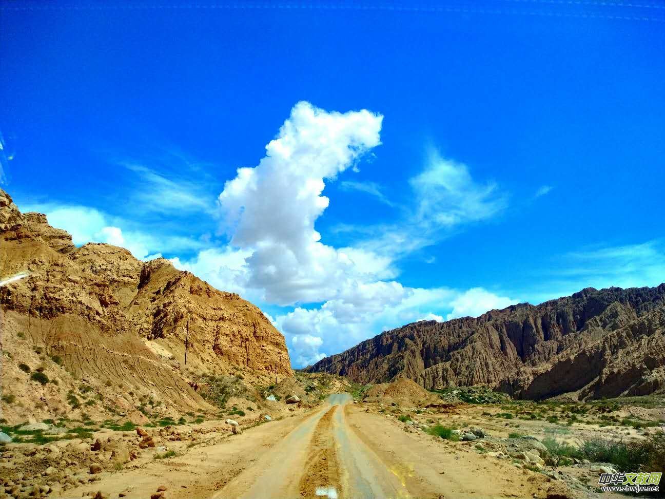 Ц���zӰ:�½������Fľ����{����Ӱ