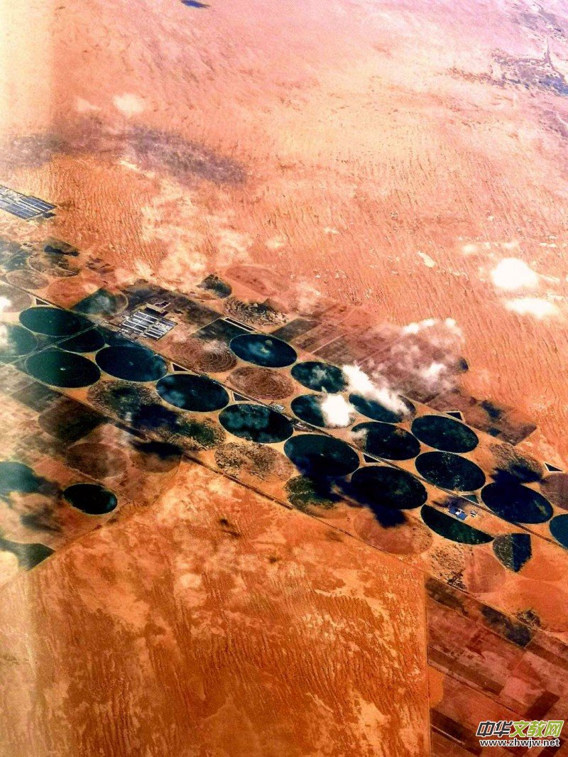 Ц��(����)���w�C�r�ĵ���Ƭ,��������С����