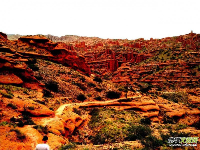 Ц���zӰ:�½������Fľ����{����Ӱ