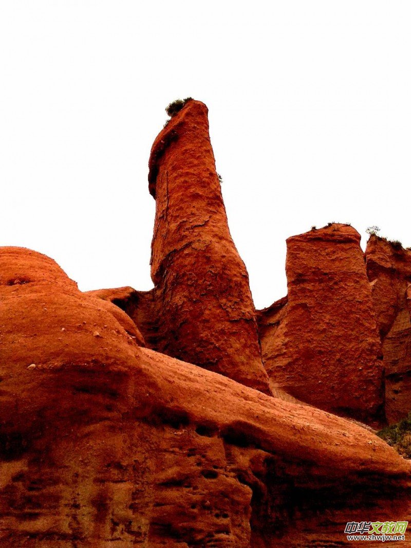 Ц���zӰ:�½������Fľ����{����Ӱ