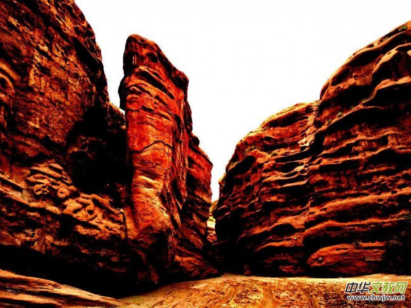 Ц���zӰ:�½������Fľ����{����Ӱ