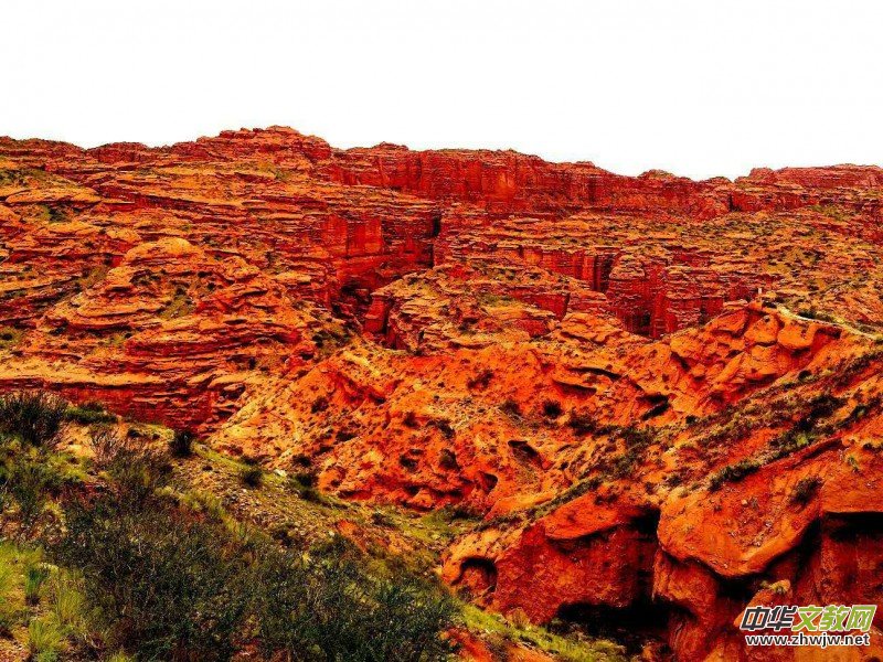 Ц���zӰ:�½������Fľ����{����Ӱ