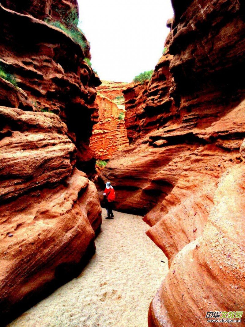 Ц���zӰ:�½������Fľ����{����Ӱ