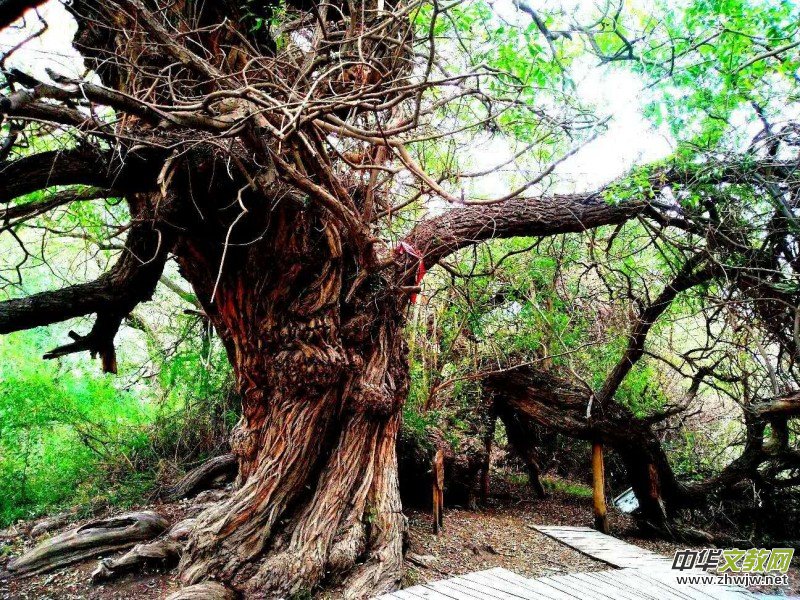 Ц���zӰ:��ɽ��ľ�@(�½������K�؅^(q��)����)