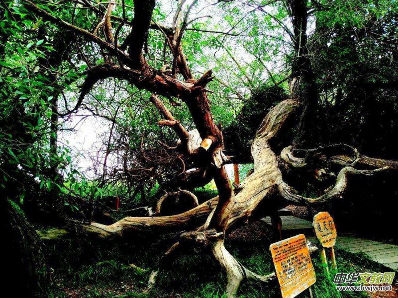 Ц���zӰ:��ɽ��ľ�@(�½������K�؅^(q��)����)