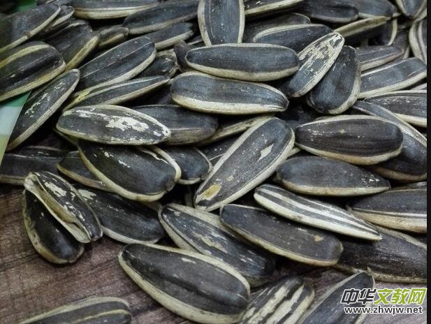 Ů���oȥ���ՆT�u����4�����N��5000�f