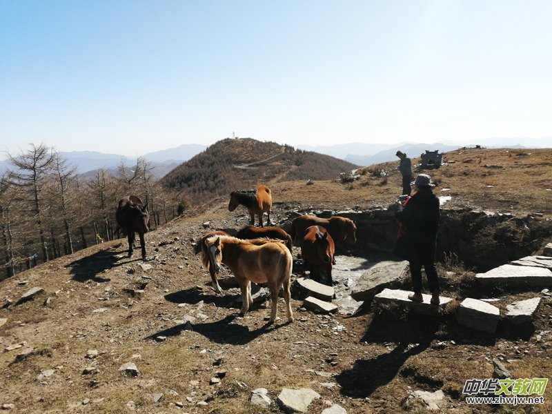 ��ɳ����һƬ����  һ��ɏ������һ�ף�