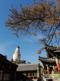 ���_(t��i)ɽ���L(f��ng)֮���wԊ(sh��)�~