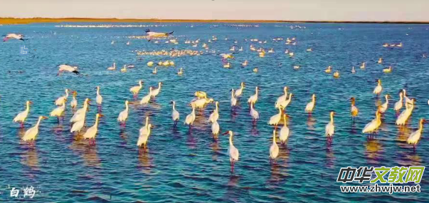 �S�ӿڌ�(sh��)��ˢ�������Ї�(gu��)���|�I(y��ng)�׌ö�ҕ�l�W(w��ng)�t���(hu��)�չ�