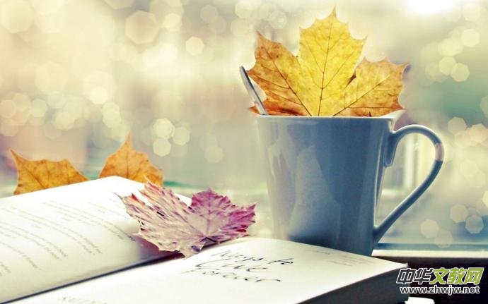 ���c�ͣ���Ԋ�������� ���������c�͡��������c�¡����MԊ����