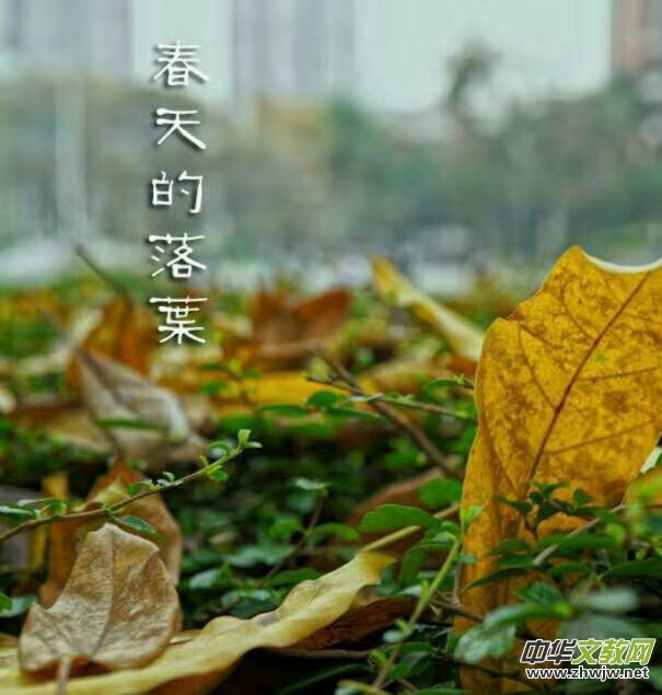 �K����: ��������~