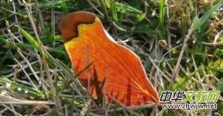 �K����: ��������~