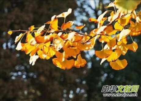 �K����: ��������~