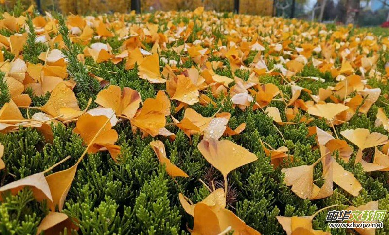 �K����: ��������~