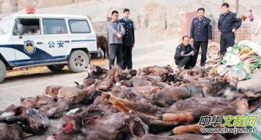 ��(gu��)���ֲݾֵ��岿�T��ͬ�_չ���Ұ����(d��ng)���`Ҏ(gu��)���׌��(xi��ng)��(zh��)���Є�(d��ng)