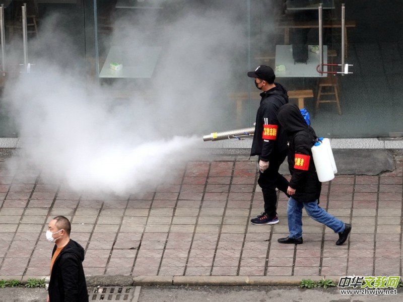 �������zӰ��Ʒ������־�ɳ� �����������}�W�j�����zӰչ��(y��u)����Ʒ