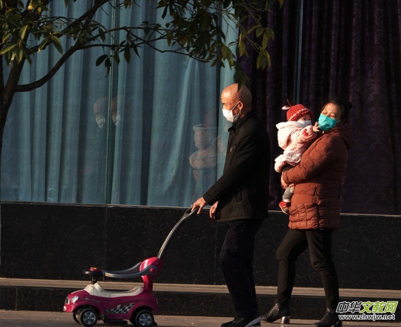 �������zӰ��Ʒ������־�ɳ� �����������}�W�j�����zӰչ��(y��u)����Ʒ