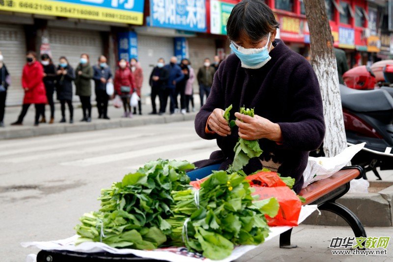 ����(ji��n)�ء���ا�ǔzӰ��Ʒ������־�ɳ� �������ו����zӰչ����ͶƱ�u�x��