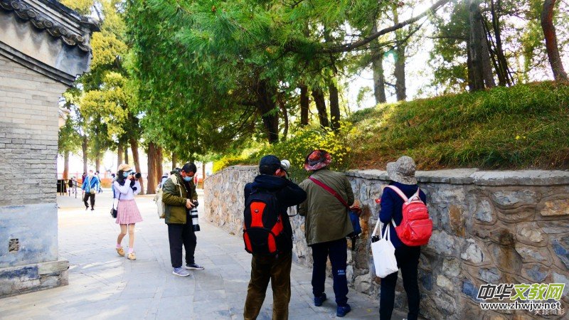 �����U�͈@ �Ŀ����������ľ�ɫ