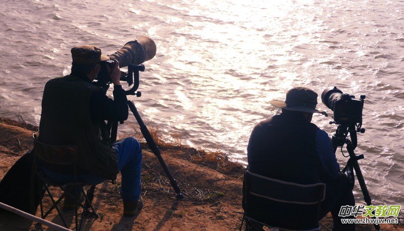 �����U�͈@ �Ŀ����������ľ�ɫ