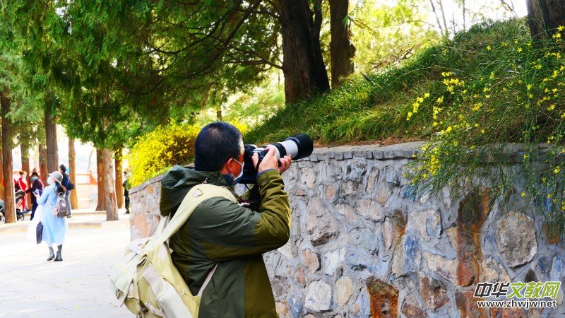 �����U�͈@ �Ŀ����������ľ�ɫ