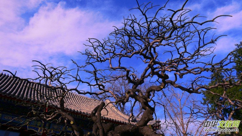 �����U�͈@ �Ŀ����������ľ�ɫ