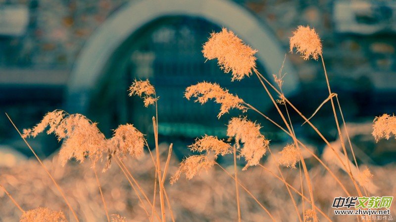 �����U�͈@ �Ŀ����������ľ�ɫ