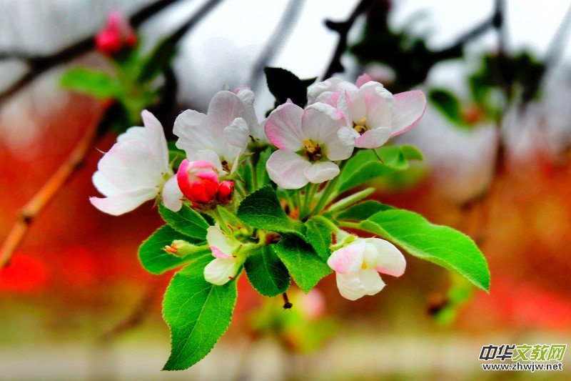 �O��܊�zӰ:����֮�F��������Ԋ�~��ĺ��Ļ�