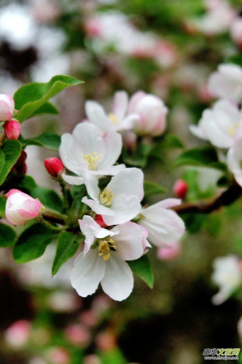 �O��܊�zӰ:����֮�F��������Ԋ�~��ĺ��Ļ�