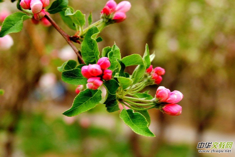 �O��܊�zӰ:����֮�F��������Ԋ�~��ĺ��Ļ�