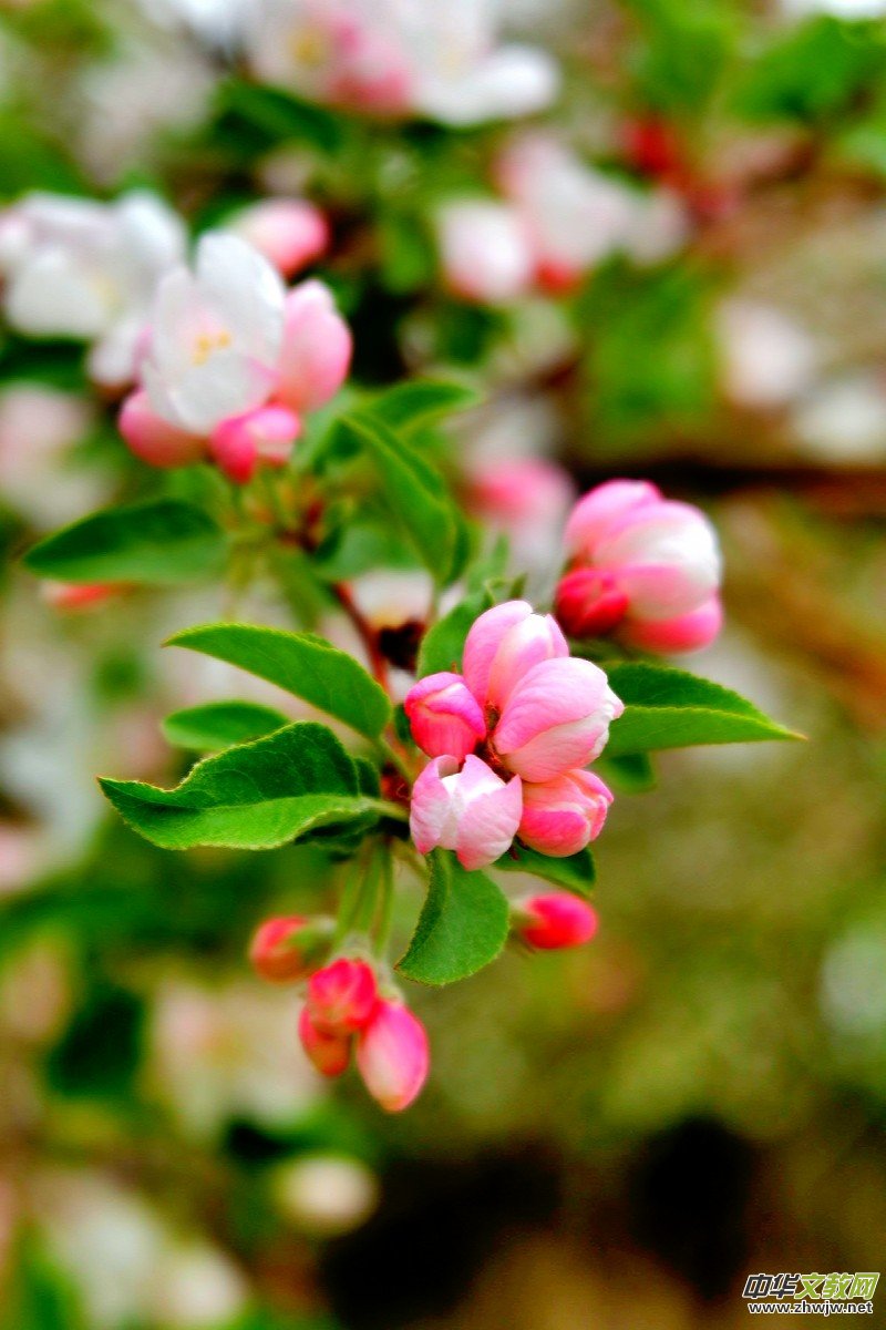 �O��܊�zӰ:����֮�F��������Ԋ�~��ĺ��Ļ�