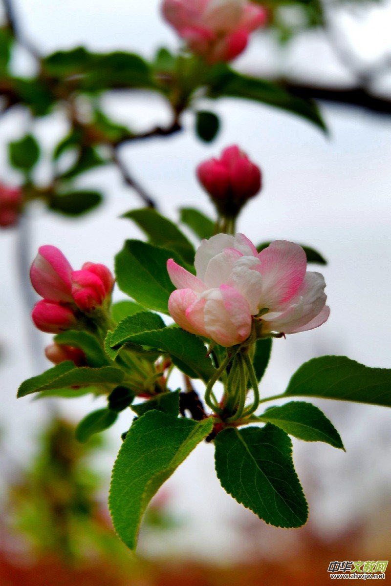 �O��܊�zӰ:����֮�F��������Ԋ�~��ĺ��Ļ�