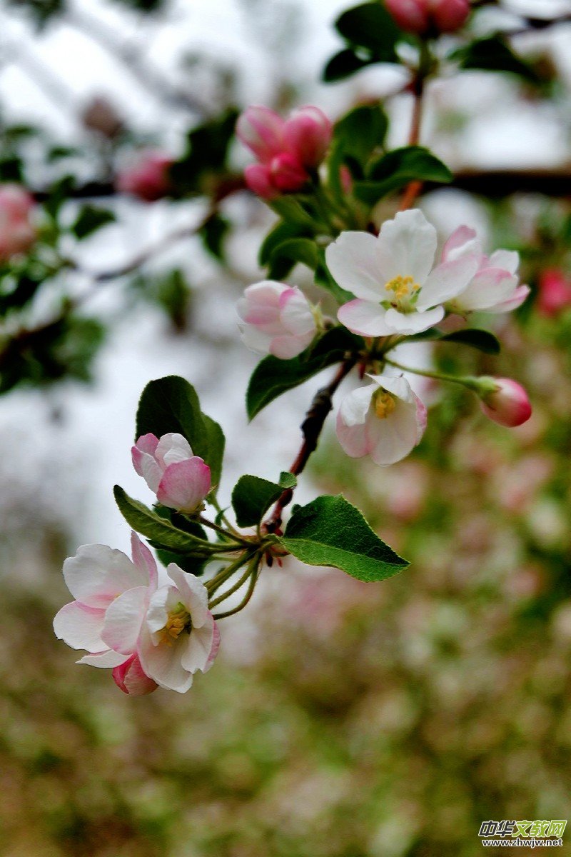 �O��܊�zӰ:����֮�F��������Ԋ�~��ĺ��Ļ�