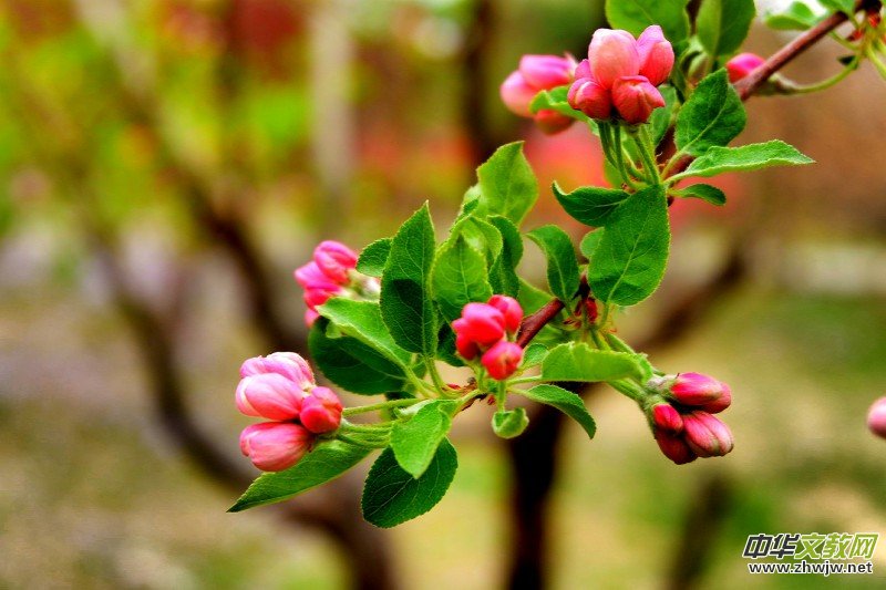 �O��܊�zӰ:����֮�F��������Ԋ�~��ĺ��Ļ�