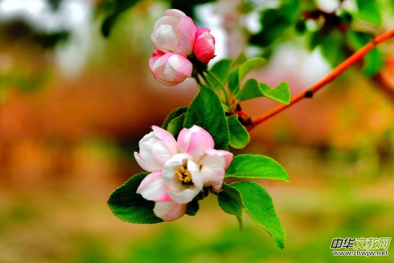 �O��܊�zӰ:����֮�F��������Ԋ�~��ĺ��Ļ�