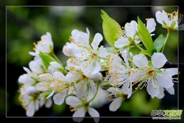 Ԋ�裺�ٌ��